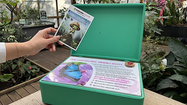 Grüne Holzbox in tropischer Umgebung mit Osterrätsel in der Biosphäre Potsdam