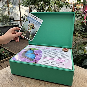 Grüne Holzbox in tropischer Umgebung mit Osterrätsel in der Biosphäre Potsdam