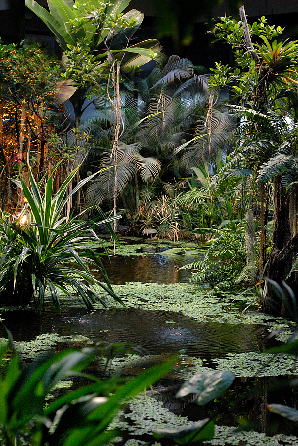 Taschenlampen-Abenteuer in der Biosphäre Potsdam Dschungel bei Nacht in der Biosphäre Potsdam