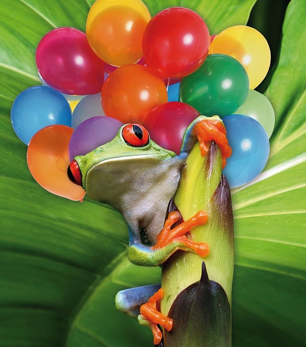 16. Geburtstag der Biosphäre Potsdam
