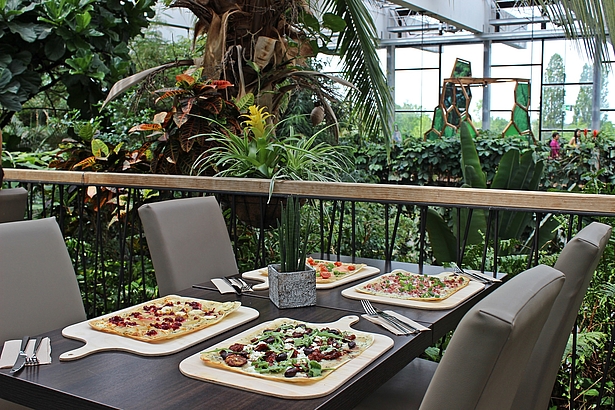 Flammkuchen in der Biosphäre Potsdam