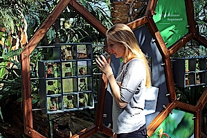 Teambuilding Event "Interaktive Dschungeltour" Biosphäre Potsdam