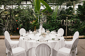 Café Tropencamp Hochzeitslocation Hochzeit Biosphäre Potsdam Café Tropencamp