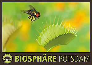 Fleischfressende Pflanzen Ausstellung in der Biosphäre Potsdam
