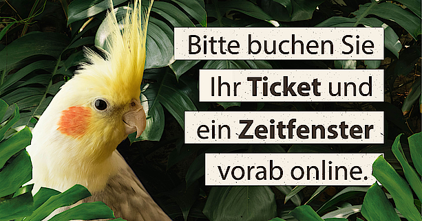 Bitte buchen Sie Ihre Tickets und Zeitfenster vorab online.