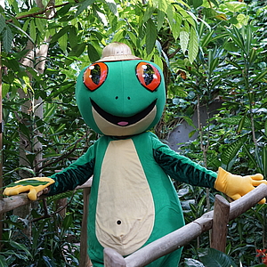 Josch der Frosch, das Maskottchen der Biosphäre Potsdam im Tropengarten