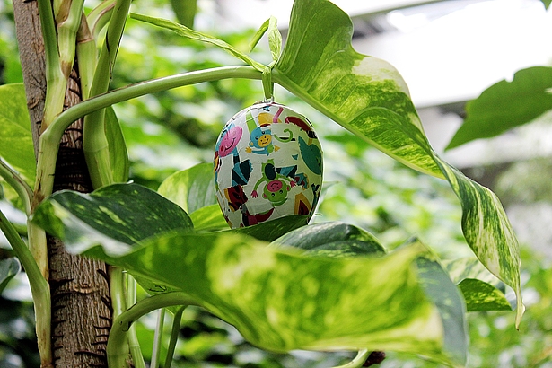 Osterferienprogramm in der Biosphäre Potsdam Ferien zu Ostern in der Biosphäre Potsdam