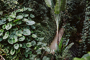 Gruppenreisen Biosphäre Potsdam