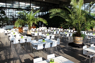 Brunch in the tropics