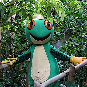 Josch der Frosch, das Maskottchen der Biosphäre Potsdam im Tropengarten