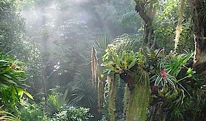 Gruppenfahrt in die Biosphäre Potsdam
