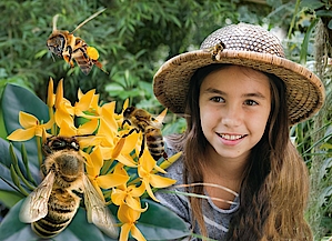 Mein Schwarm: Die Biene Biosphäre Potsdam Bienenausstellung in der Biosphäre Potsdam