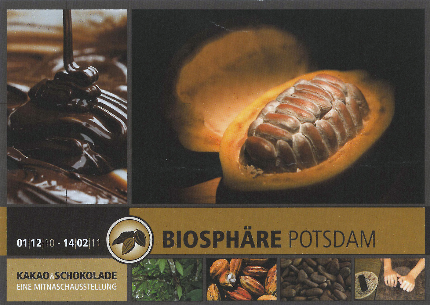 Kakao und Schokolade in der Biosphäre