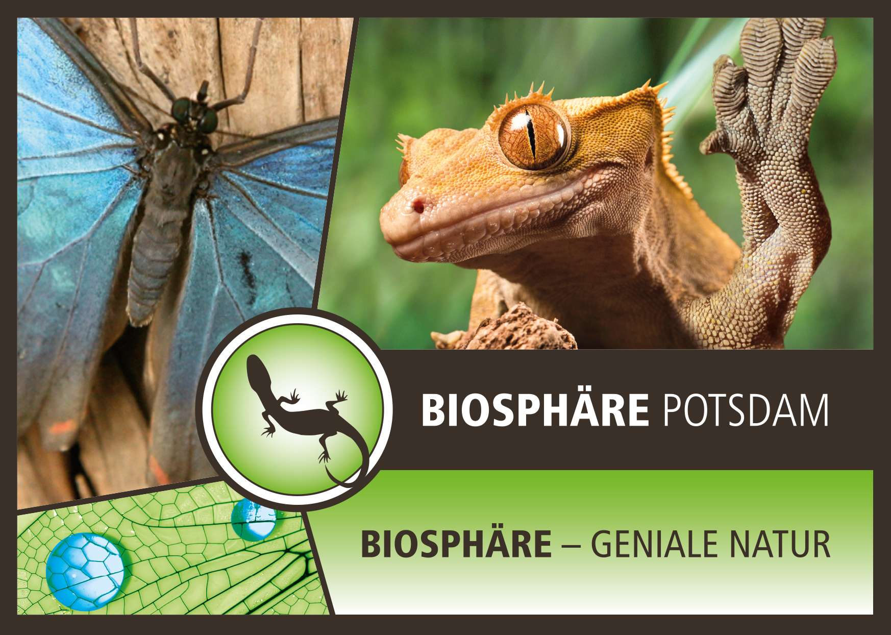 Geniale Natur in der Biosphäre Potsdam