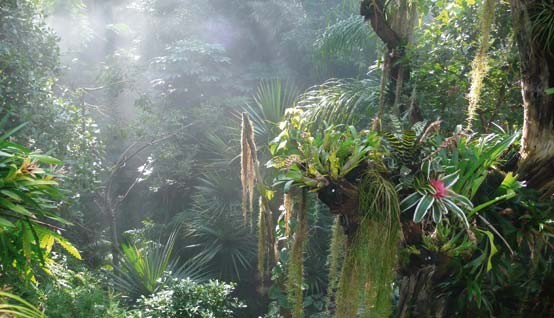 Plants in the Biosphere Potsdam