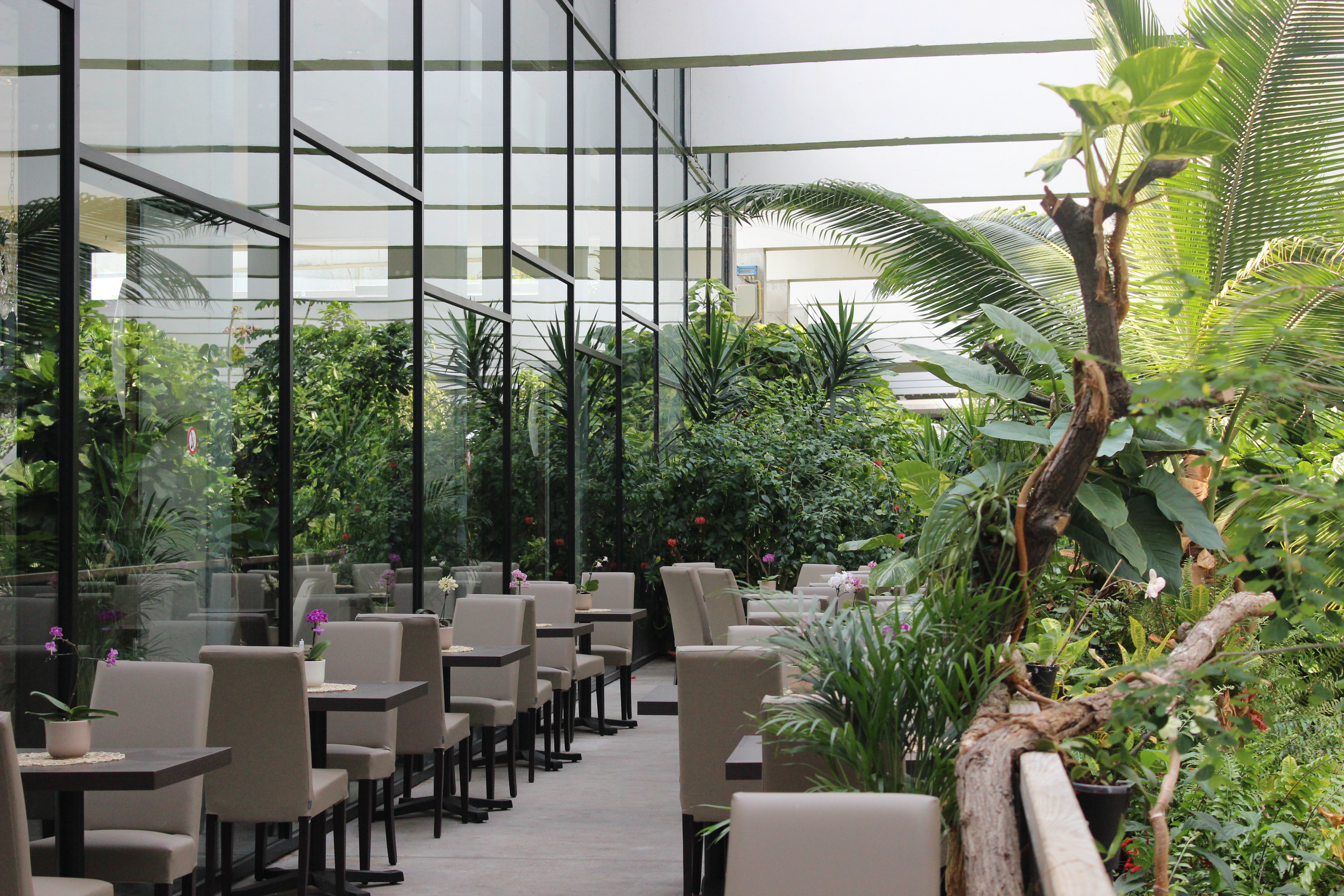Restaurant Urwaldblick in der Biosphäre Potsdam