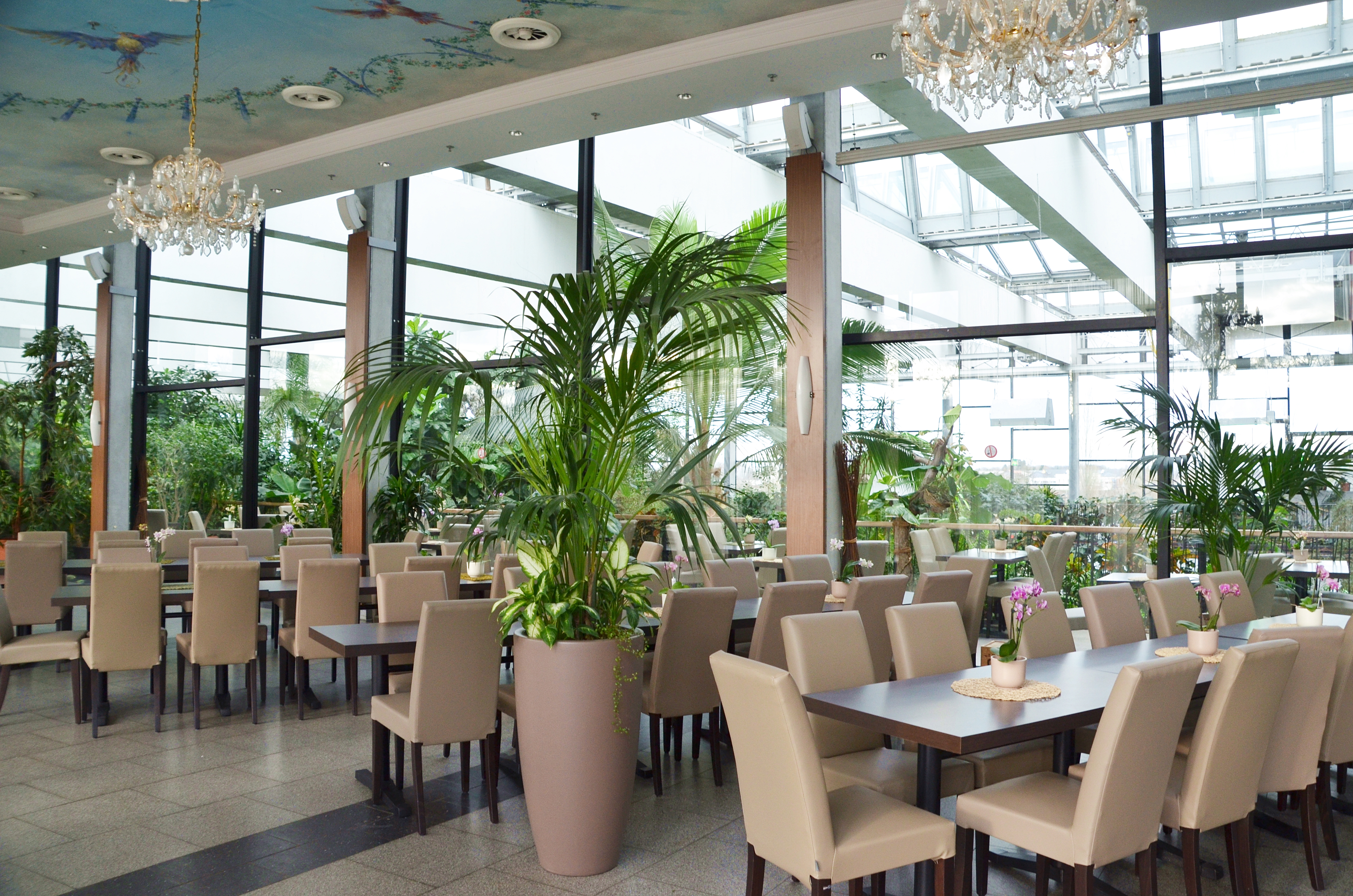 Innenbereich Restaurant Urwaldblick Biosphäre Potsdam