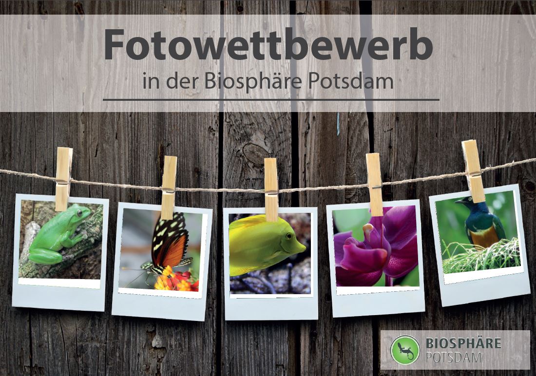 Fotowettbewerb in der Biosphäre Potsdam