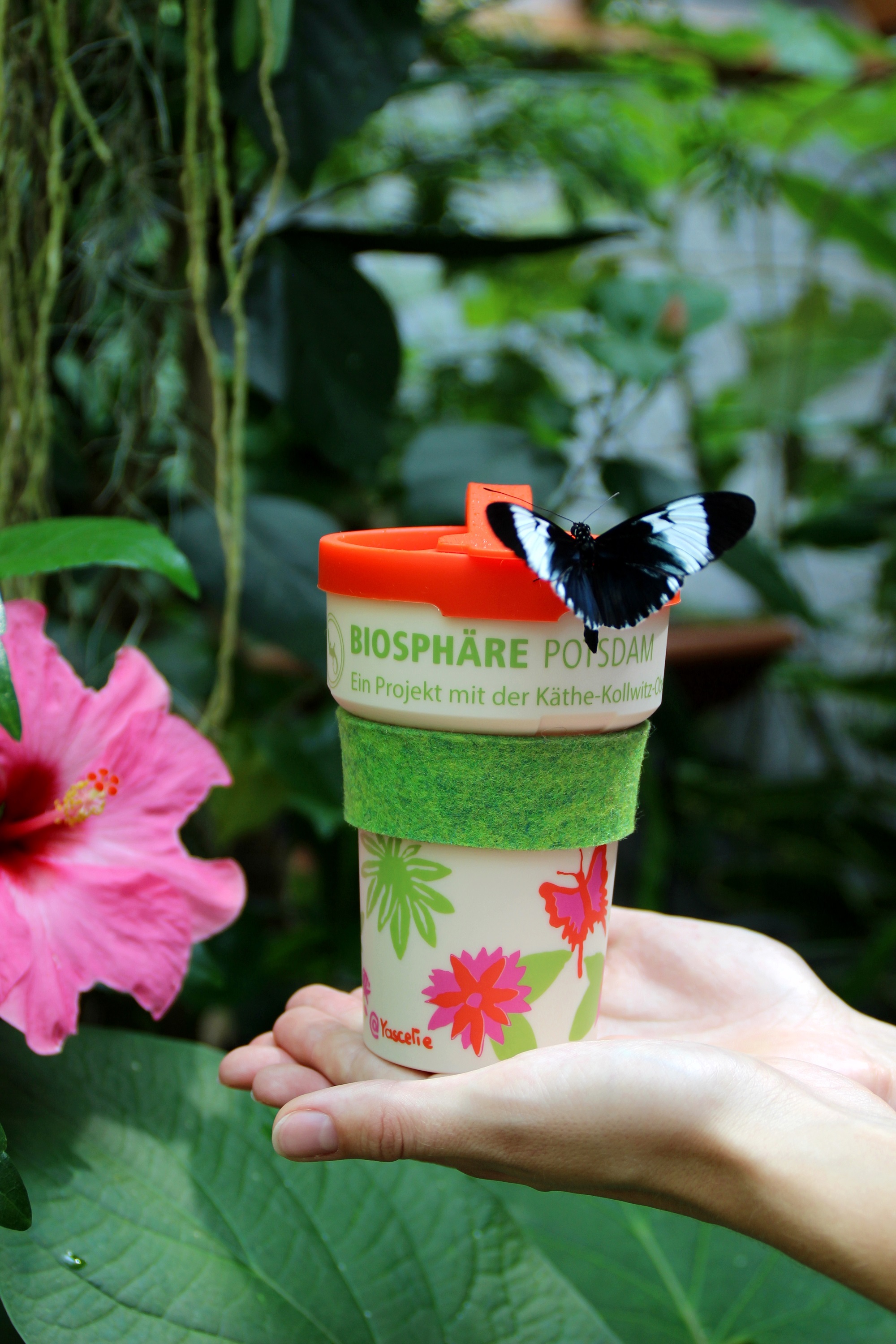 Ein Kaffee-to-go-Becher aus dem Shop der Biosphäre Potsdam