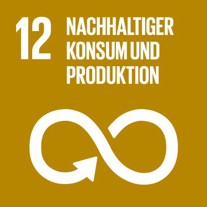 Verantwortungsvoller Konsum und Produktion SDG 12
