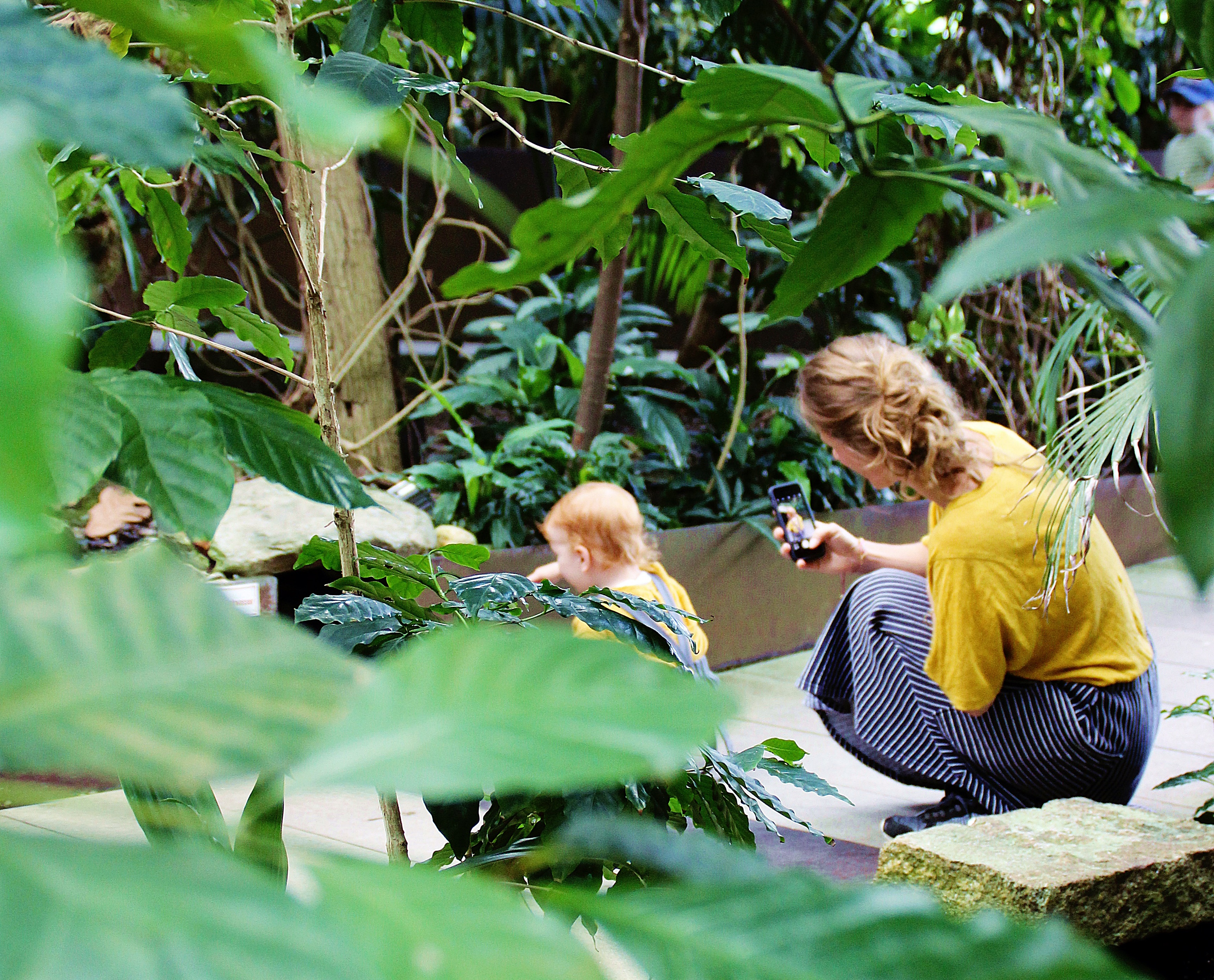 Blogger, Familie, Biosphäre Potsdam