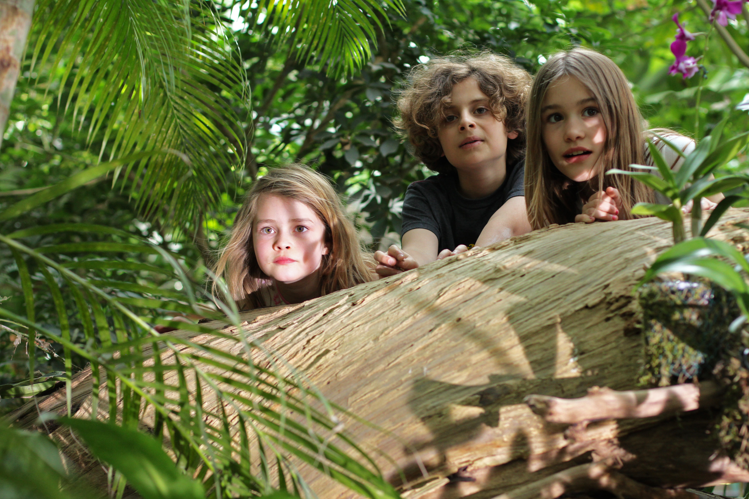 Kinder Ausflug Potsdam Familie, Eltern, Potsdam