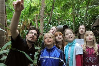 [Translate to English:] SchülerInnen lernen den Regenwald in der Biosphäre Potsdam kennen