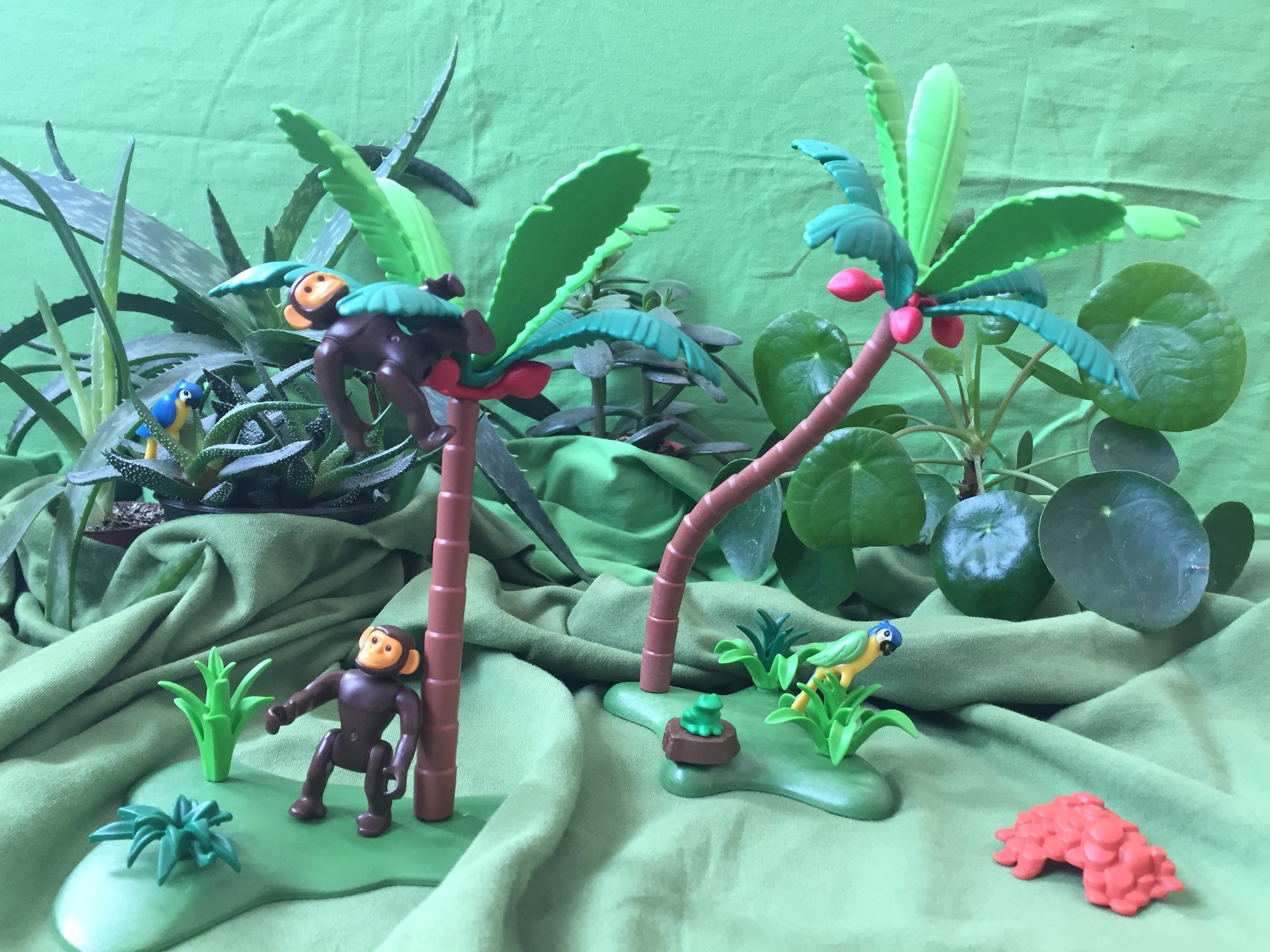 Sommerferiengewinnspiel Ferien, Kinder, Bio