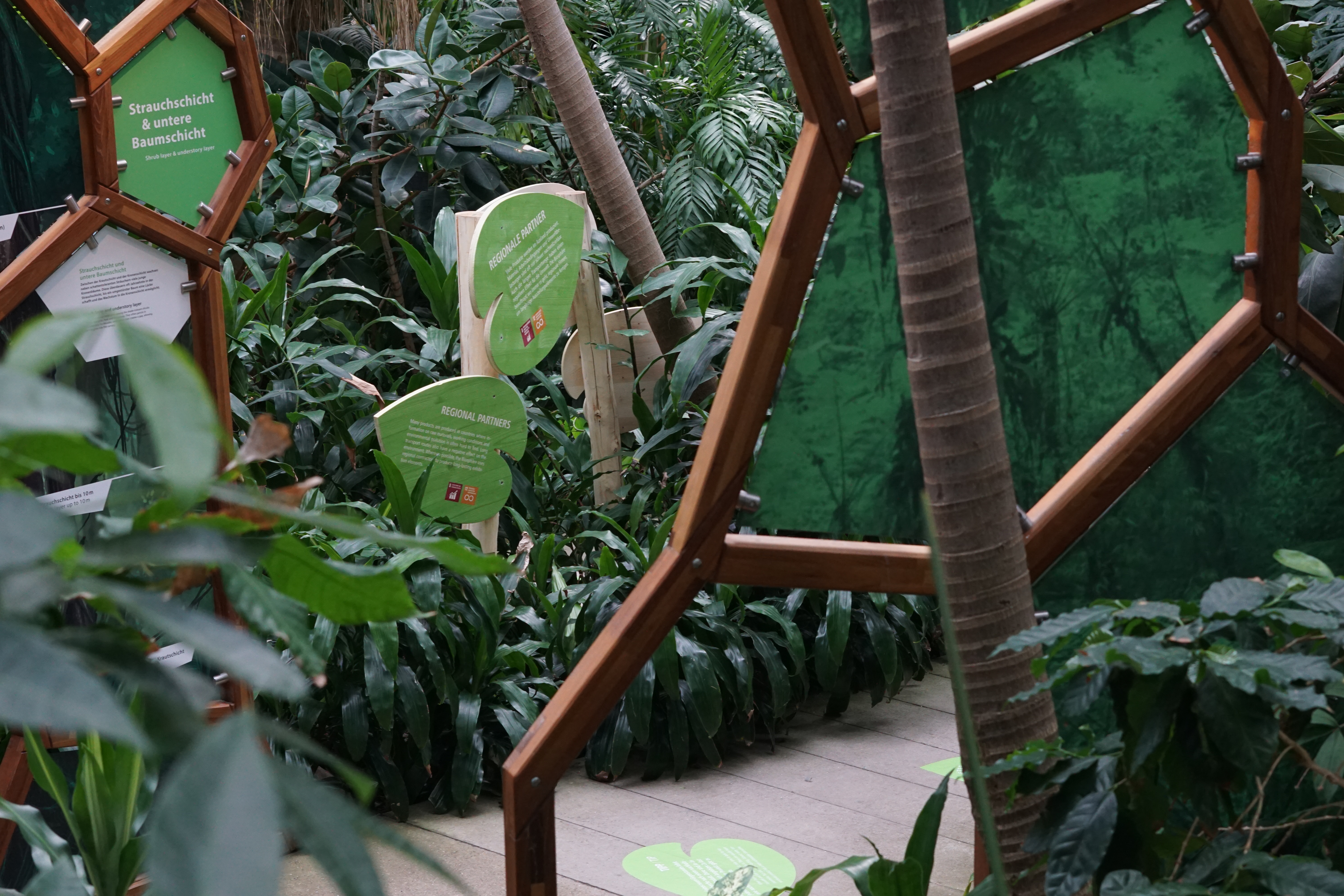 Ein Blick durch den Dschungel der Biosphäre Potsdam auf einen Aufsteller des neuen Nachhaltigkeitspfad.